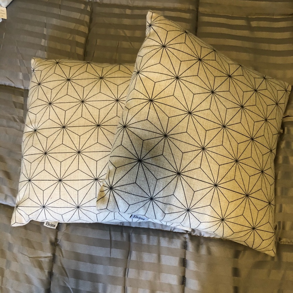 Set of 2 18x18 pillows with covers